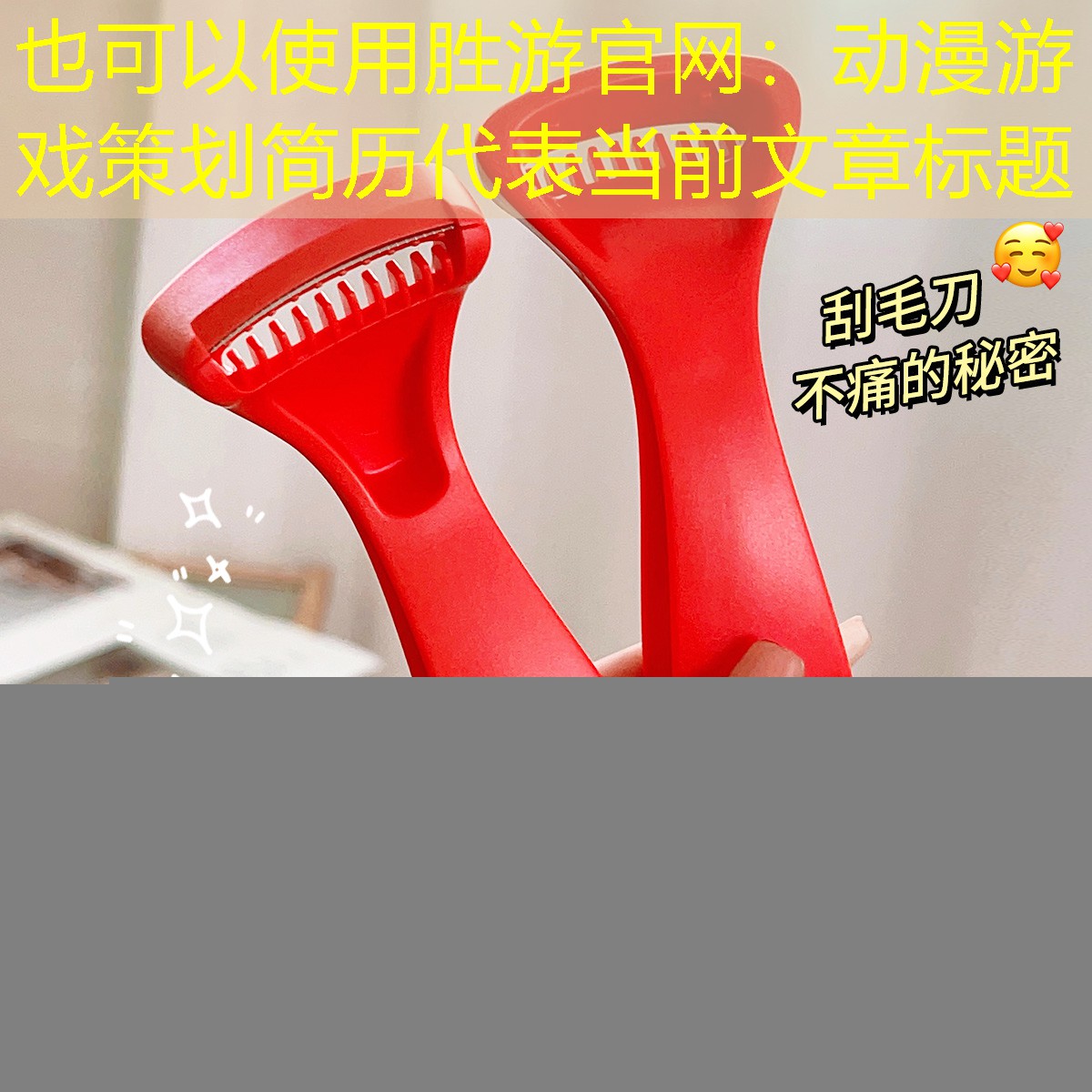 胜游官网：动漫游戏策划简历