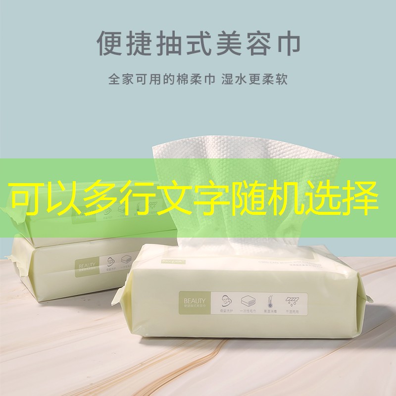 有很多老婆的游戏3d